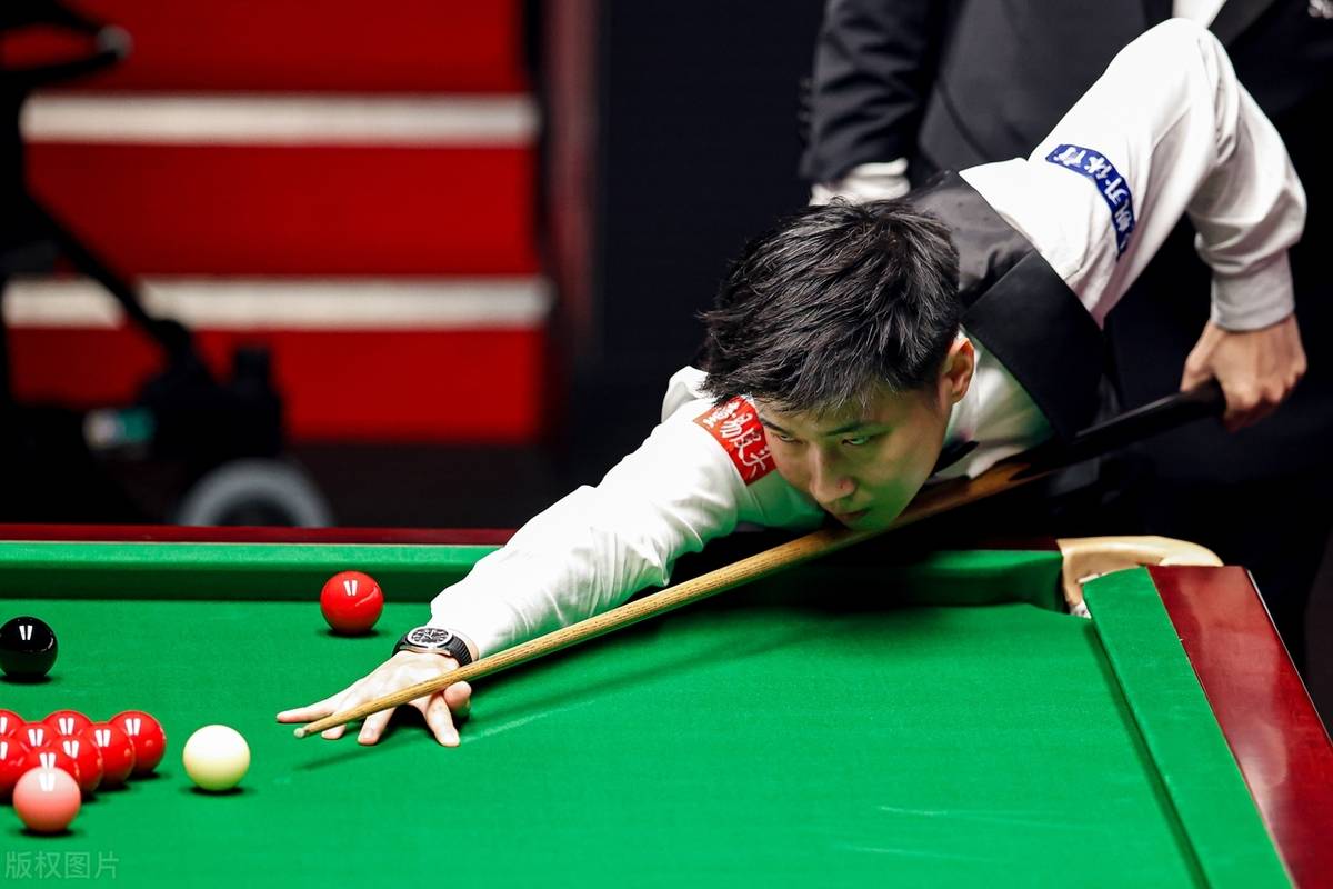 不应完全被 不应完全被